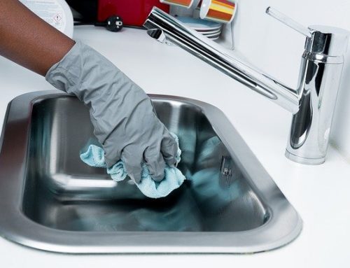 Empleada de hogar interna